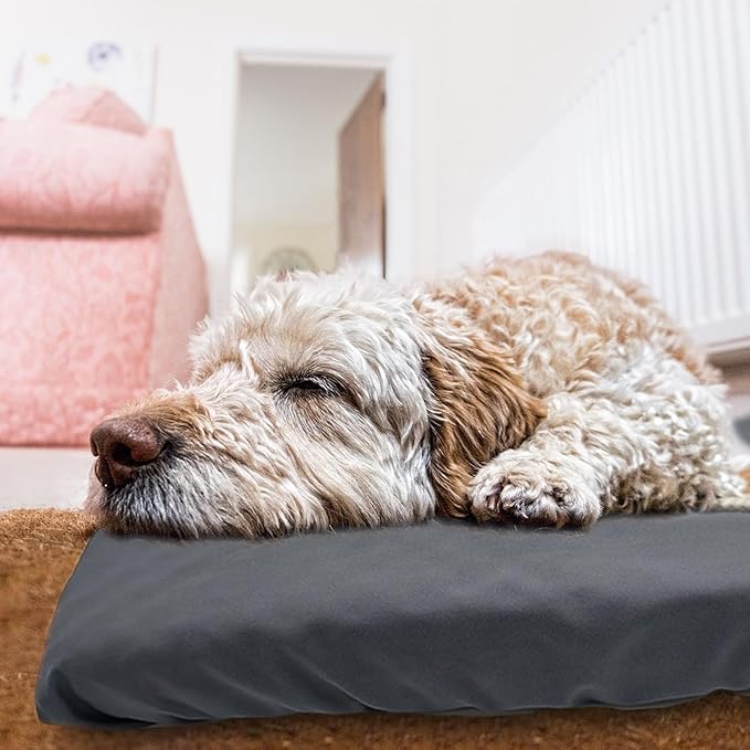 Dog Bed Cover Waterproof Replacement Machine Washable Covers for Dog Bed Heavy Duty Scratch Resistant Mattress Protector Pet Bed 44x32 Inch Grey Cover Only
