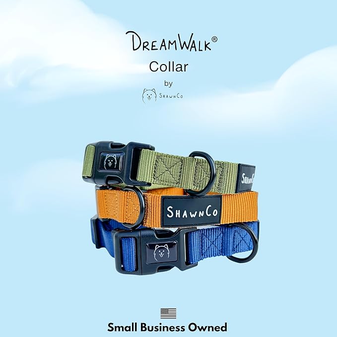 ShawnCo Dream Walk Dog Collar- Premium, Adjustable and Comfortable Pet Collar for Small, Medium, Large and Extra Large Dogs (Electric Blue,L)