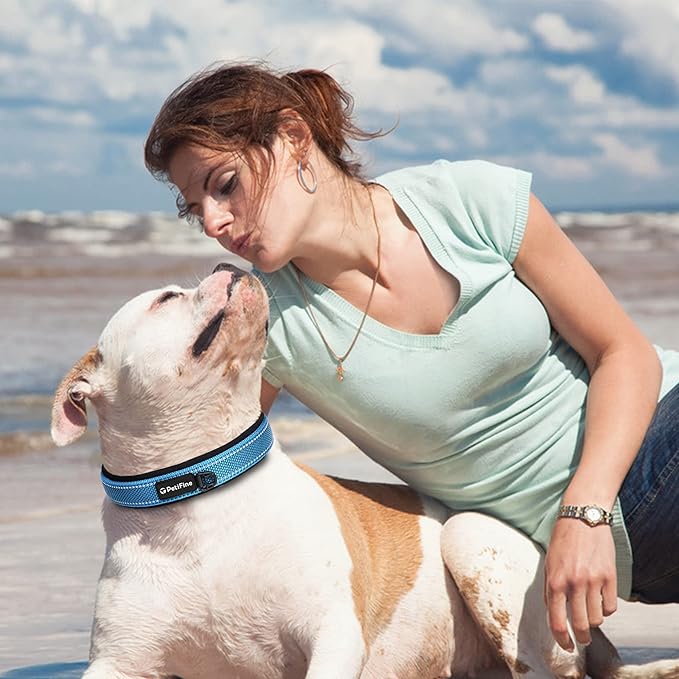 PetiFine Dog Collar for Large Dogs, Neoprene Padded and Adjustable, Reflective Wide Heavy Duty Pet Collars with Durable Metal Belt Buckle for Walking, Blue, L