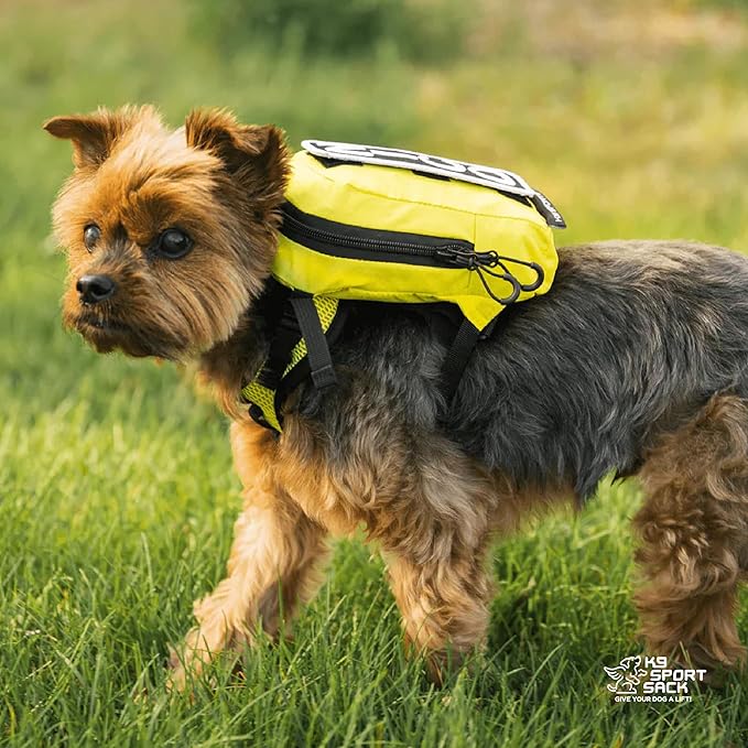 K9 Sport Sack Walk-On - X-Small, Shark Skin Gray - Ideal for Dogs with 9-12” Back Length - Lightweight, Packable, Backpack-Style Carrier - Includes Compatible Harness & Storage Bag
