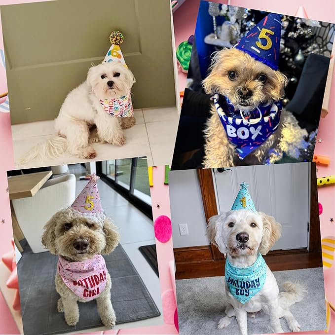 Dog Birthday Bandana Set, Blue Birthday Boy Decorations, HBD Party Supplies with Hat Kerchief Numbers for Pets (Blue)