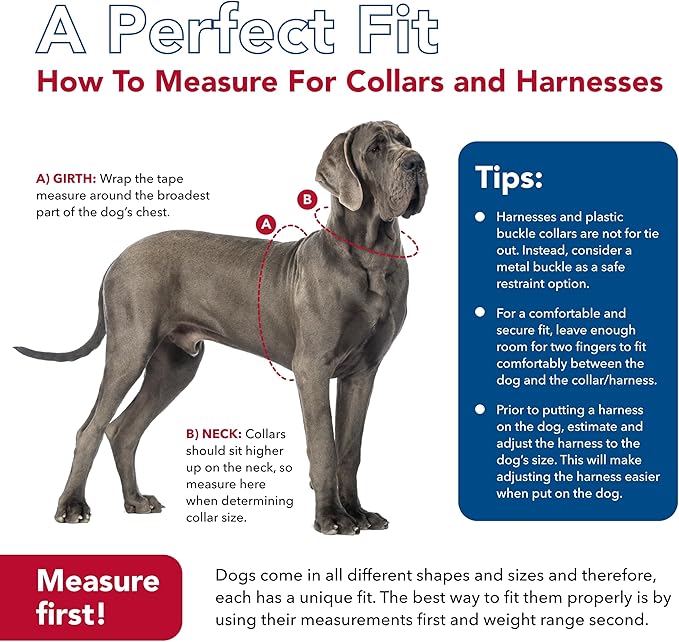 Coastal Pet K9 Explorer Reflective Adjustable Dog Collar - Comfortable Collar for The Outdoors - Durable, Lightweight Accessory with Side-Release Buckle - Fern, 5/8" x 10-14"