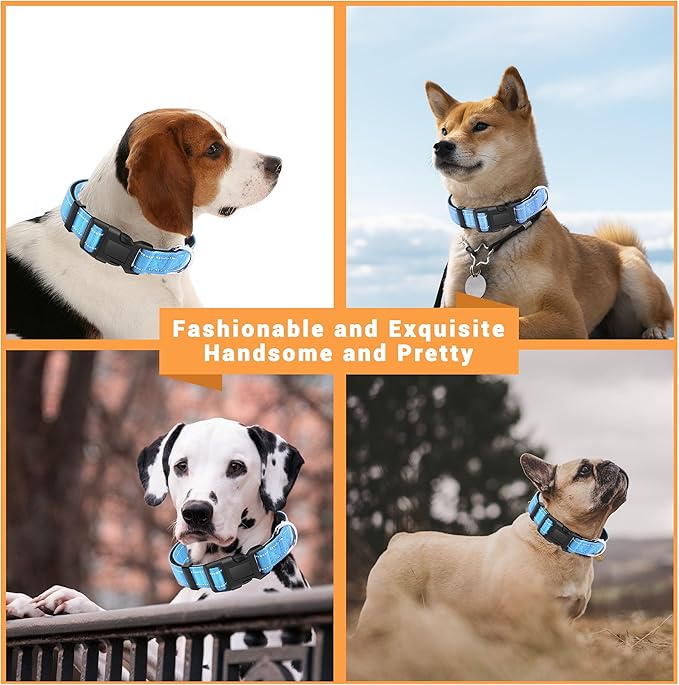 2 Pack Reflective Dog Collar with Safety Locking Buckle, Adjustable Soft Breathable Comfortable Nylon Pet Collar for Small, Medium and Large Dogs, SkyBlue, L