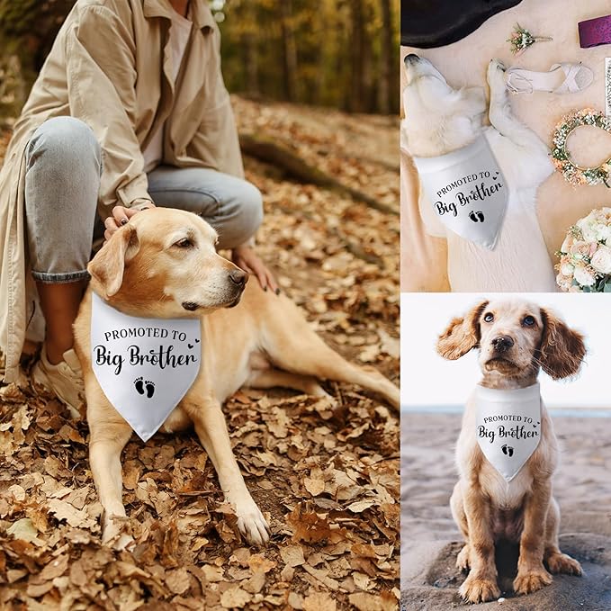 Promoted to Big Brother Pregnancy Announcement Dog Bandana Baby Announcement Photo Props Dog Scarf Accessories Big Brother Bandana for Dogs