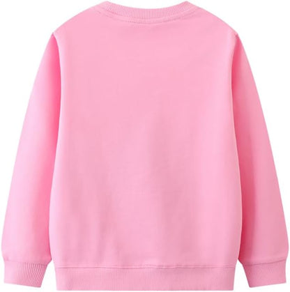 Toddler Baby Girls Cotton Sweater, Long Sleeve Crewneck Sweatshirt Pullover Kids Warm Clothing for Fall Winter