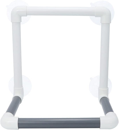 Bird Portable Suction Cup Shower Perch Parrot Window Wall Standing Platform for Cockatoo Conure Cockatiel African Grey
