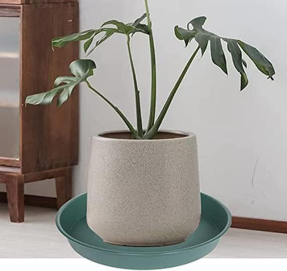 2 Pack of 8 inch Plant Saucer Clear, Heavy Duty Plastic Plant Water Tray 8 inch Round, Flower Plant Saucers for Indoors No Holes, Plant Dishes Saucer for Planter 7"/8" (8", Green)