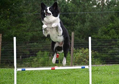 Dog Agility Bar Jump, Exercise Hurdles Backyard Agility Equipment with Adjustable bar and Dog Agility Jump Cups