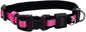 Coastal Pet - Coastal - Inspire Enhanced Core - Adjustable Collar, Pink, 5/8" x 8"-12"