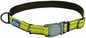 Coastal Pet K9 Explorer Reflective Adjustable Dog Collar - Comfortable Collar for The Outdoors - Durable, Lightweight Accessory with Side-Release Buckle - Goldenrod, 5/8" x 10-14"