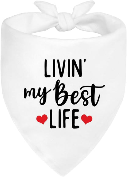 Livin' My Best Life White Dog Bandana, Sunshine Dog Bandanas Accessories for Photo Outdoor Playtime and Birthday Party, Christmas Thanksgiving Gifts for Pet Owner Puppy Mom Dad Pet Lover