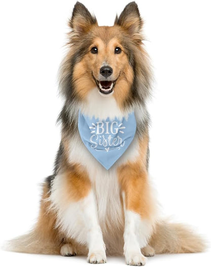Big Sister Dog Bandana, Light Blue Pet Scarf Accessories, Pet Triangle Scarf, Dog Bandana for Small Medium Dogs, Baby Announcement Dogs Bandana (M)