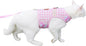 Cat Harness and Leash for Walking Escape Proof, Adjustable Cat Vest Harness, Padded Stylish Cat Walking Jackets, Pink Plaid, XX-Large