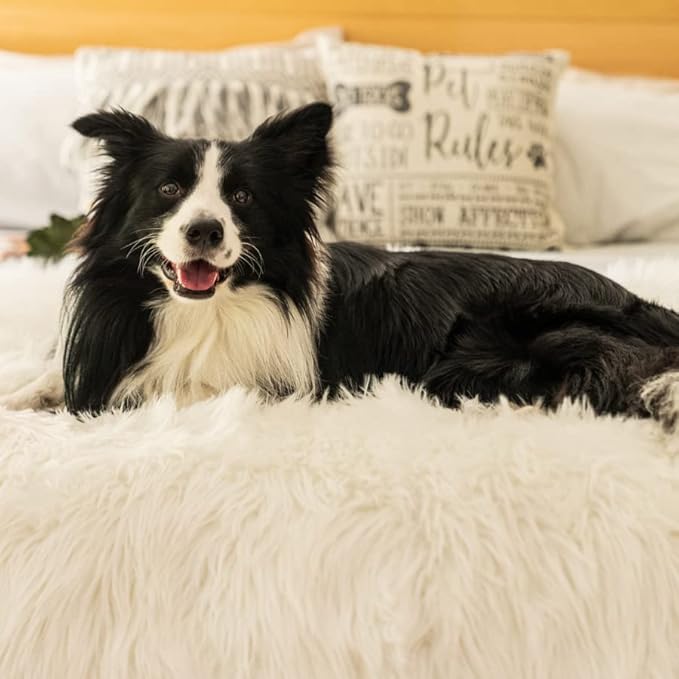 PupProtector Waterproof Throw Blanket for Dogs and Cats, Pet Blanket Cover for Couches, Sofas, Beds, Car Seats, Furniture, Calming Soft Faux Fur, Polar White, Original (60" L x 50" W)