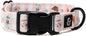 Lucy & Co. Sipping Slowly Dog Collar, Adjustable Durable Dog Collar with Cute Print, Large
