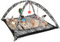 Cat Play Tent (Available in a Pack of 1)