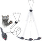 Kalimdor Interactive Cat Feather Toys,Retractable Teaser Toy ，Hanging Interactive Toys for Indoor Cats Kitten Play Chase Exercise, Kitten Mental Exercise Toys (2 Pack)