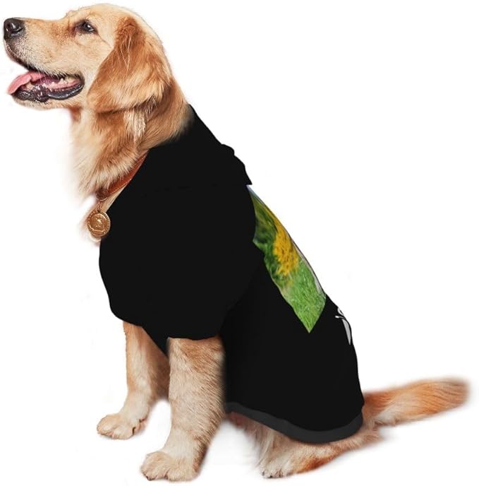 Custom Dog Clothes with Photo Name Logo Personalized Dog Sweaters for Small Medium Large Dogs Breathable Warm, LawnGreen, XL