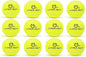 Hyper Pet Tennis Balls for Dogs - 12 Pack 2.5'' Durable Non-Toxic Outdoor Dog Toys Balls with Mesh Bag, for Fetch & Excercise, Medium to Large Breeds (Non Squeaky)