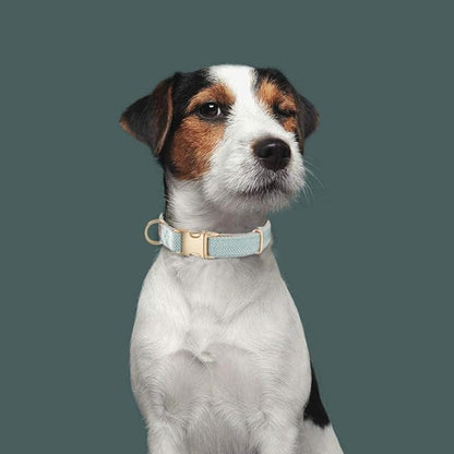 Soft Cotton Hemp Dog Collar with Metal Buckle Adjustable Tweed Dog Collars for Small Medium Large Dogs(Blue,Large)