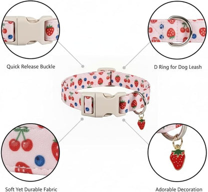 Small Dog Collar, Cute Dog Collar for Puppy, Extra Small & Small Dogs, Strawberry Blueberry Collar for Girl Female Dogs, XS