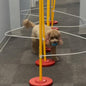 Dog Agility Weave Pole Guides – Training Aids for Fast, Accurate Weaving | Easy Snap-On PVC Guide Wires for Dog Agility Competition & Practice, 66″ Long Guides, Set of 4
