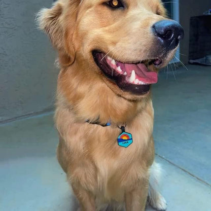 Silent Dog Tag Personalized with 5 Lines of Custom Deep Engraved Durable Soundless Silicone Pet ID Name Tag Round Sunset Orange