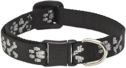 LupinePet Originals 1/2" Bling Bonz Cat Safety Collar , 8-12"