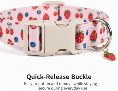 Girl Dog Collar, Cute Dog Collar for Medium Dogs with Cute Strawberry, Cherry and Blueberry Print, Pink Collar for Dogs with Quick-Release Buckle and Robust D Ring, M
