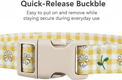 Cute Dog Collar, Yellow Plaid Dog Collar with White Floral Pattern, Spring Summer Design Floral Collar for Girls Boys Extra Small Dogs, Yellow Checkered Daisy, XS