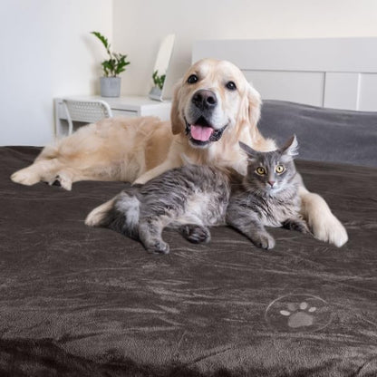 Waterproof Pet Blanket Collection– Reversible Throw Protects Couch, Car, Bed from Spills, Stains, or Fur – Dog and Cat Blankets by PETMAKER Dark Gray Large