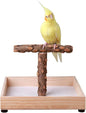 Bird Stand Tabletop,Portable Tee Stand, Parrot Play Stand Perch Gym for Small Medium Parrot (T Stand)