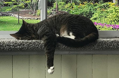 Purrched Cat Window Perch (24 Inch)