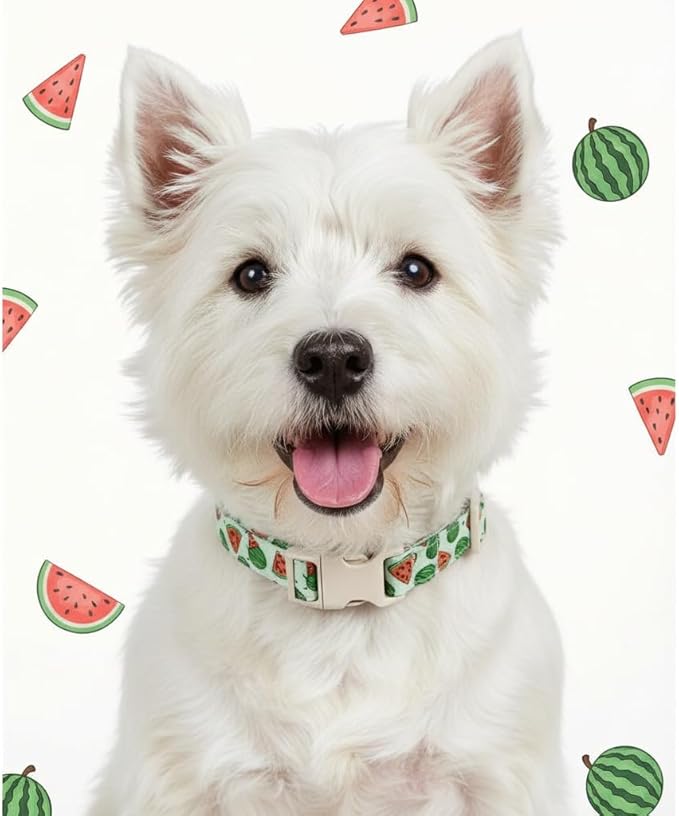 Summer Dog Collar for Medium Dogs, Cute Dog Collar with Watermelon Pattern and Pendant, Green Pet Collar with Soft Cotton Fabric and Robust Buckle