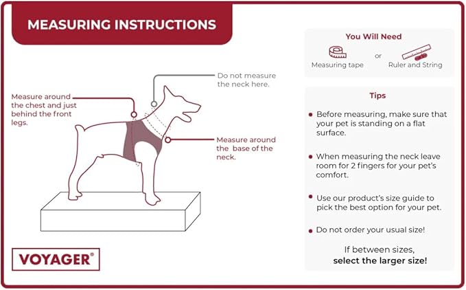Best Pet Supplies Voyager Step-in Air All Weather Mesh Harness and Reflective Dog 5 ft Leash Combo with Neoprene Handle, for Small, Medium and Large Breed Puppies - Set (Baby Blue), L