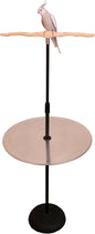 Parrot Training Perch Stand with Potty Tray (T Perch, Small)