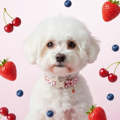 Girl Dog Collar, Cute Dog Collar for Medium Dogs with Cute Strawberry, Cherry and Blueberry Print, Pink Collar for Dogs with Quick-Release Buckle and Robust D Ring, M