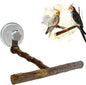 Portable Bird Perch Stand- T-Shaped Natural Apple Wood with Vacuum-Grip Suction Cup for Windows, Flat Tiles, Bath/Car/Travel - Durable & Safe for Parrots, Cockatiels, Lovebirds (Small to Medium Birds)