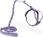 PetSafe Come With Me Kitty Cat Harness & Bungee Leash - Comfortable Cat Harness with Lightweight Bungee Leash for Outdoor Fun - More Secure Walks - Small - Lilac