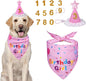 Dog Birthday Decorations, Dog Birthday Hat with Numbers for Large Medium Small,Pet Supplies (Pink)