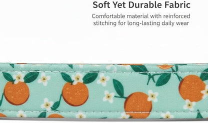 Dog Collar, Spring Summer Dog Collar with Orange Print and Charm, Cute Spring Summer Fruit Collar with Soft & Breathable Fabric, Adjustable Pet Collar for Small Dogs