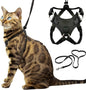 Houdini™ Escape Proof Cat Harness and Leash Set by OutdoorBengal for Walking Cats and Kittens (Vegan Leather, Large Cat)