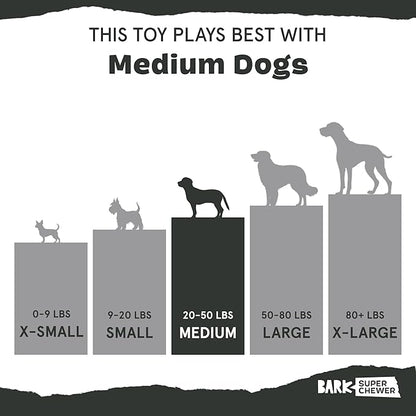 Barkbox Pumpkin Prodigy Dog Toy | Treat-Dispensing Rubber Dog Toy for Aggressive Chewers | Durable Dog Chew Toy for Medium Dogs & Puppy Essentials