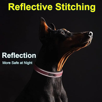 Fida Heavy Duty Dog Collar, Ultra Comfortable Soft Neoprene Padded, Adjustable Reflective Nylon Pet Collar with Durable Metal Belt Buckle for Small Breeds (S, Pink)