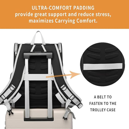 Cat Backpack Carrier for Small Dogs and Medium cat Puppy Kitten Bunny Pet Carrier Backpack Collapsible with Fully Ventilated Mesh with Safety Leash (Black, 12.9" L x 10.62" W x 15.5" H - M)