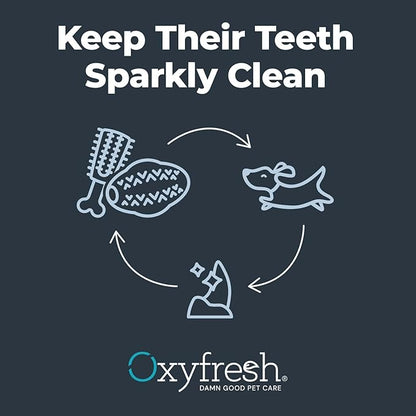 Oxyfresh Dog Dental Chew Toy - Best Dog Teeth Cleaning Toy – A Simple Bite and Brush Toy That Helps Remove Plaque, Cleans Teeth & Freshens Breath Without Brushing - Large (Pack of 2)