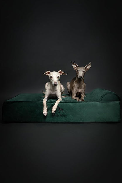 NOAH & PAW Large Dog Bed, 35x25x8.7 Inch, Orthopedic Dog Beds, Eggshell Memory Foam Infused with Cooling Gel, Waterproof, Machine Washable, Includes Inner Cover (Velvet Collection)