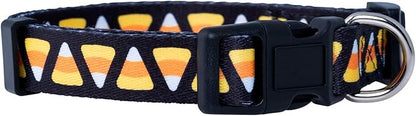 Native Pup Halloween Dog Collar- Spooky Fall Themed Horror Costume Collars- Skull, Pumpkin, Ghost, Bat, Witch, Candy Corn, Spider- Adjustable for Small, Medium, Large Breeds (Large, Candy Corn)