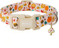 Fall Woodland Dog Collar, Playful Squirrel & Pumpkin Print on White Collar for Small Medium Large Dogs, Breathable, Adjustable & Comfortable Puppy Collar for Fall Walks & Pet Photos-M