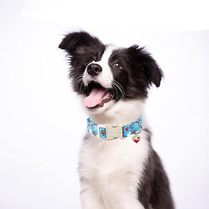 Valentines Dog Collar, Blue Heart Dog Collar, Cute Loving Heart Printed Collar with Quick Release Plastic Buckle for Boys&Girls Dogs, Large
